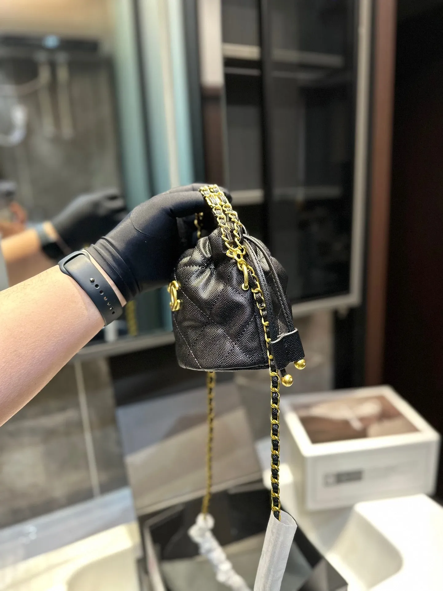 EN - Luxury Bags CHL 461